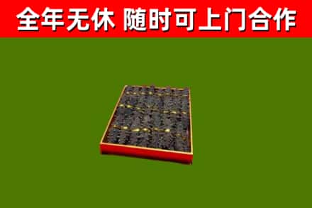 潢川县回收海参